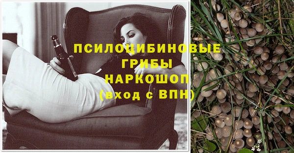 спайс Сосновый Бор