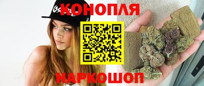 индика Абакан