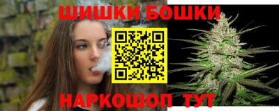 индика Абакан