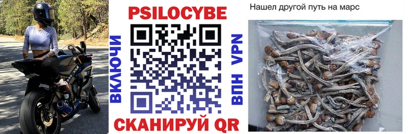 Галлюциногенные грибы Psilocybine cubensis Альметьевск