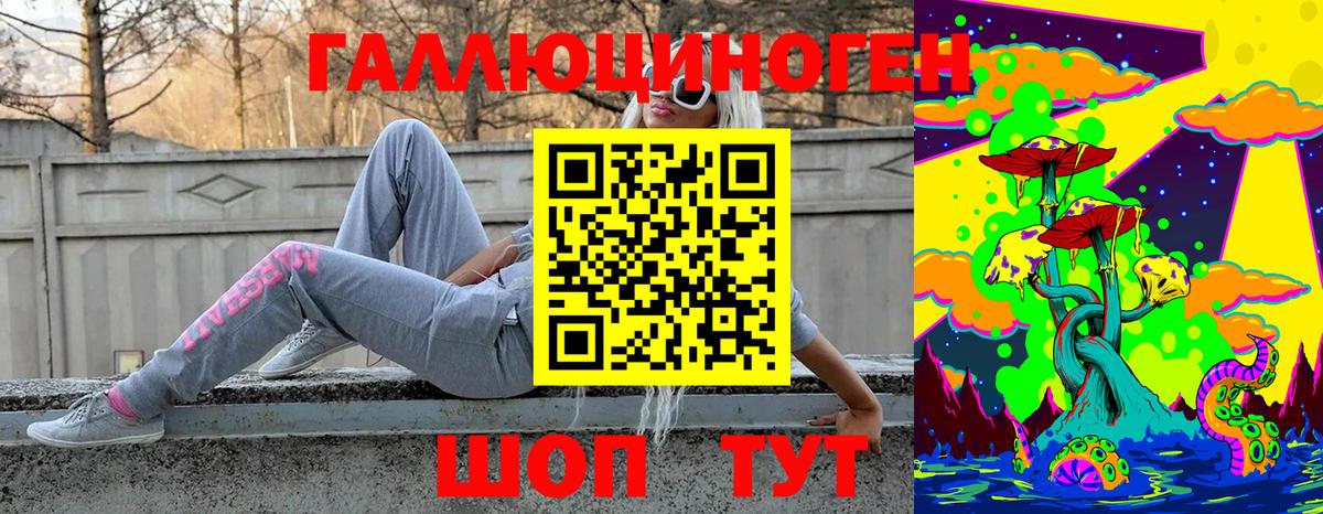 Альметьевск  наркотики  Вход с VPN  Галлюциногенные грибы Psilocybine cubensis 