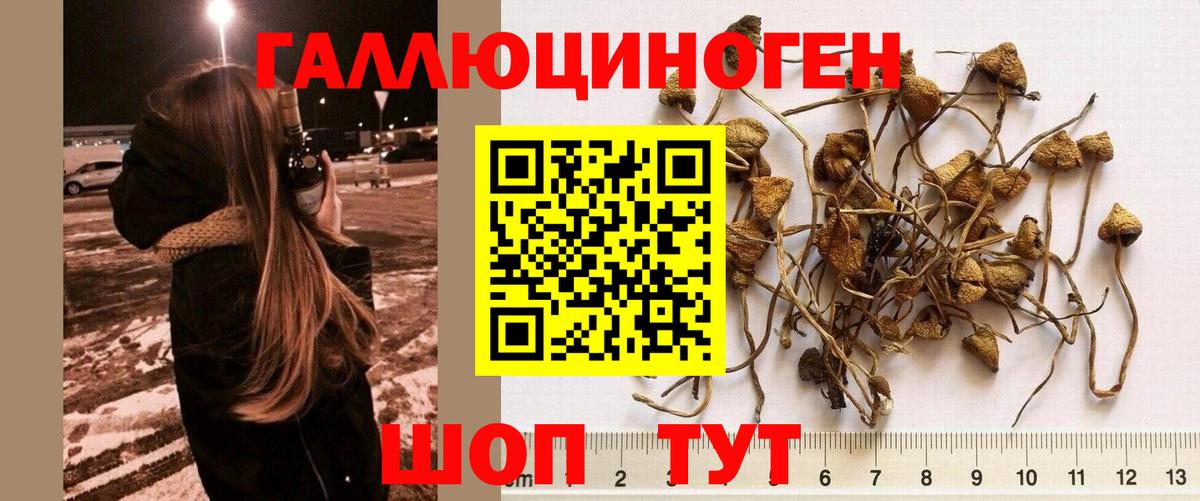 Псилоцибиновые грибы Magic Shrooms Альметьевск